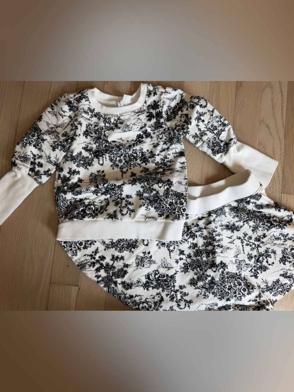 Janie and Jack toile print sweatshirt skirt set